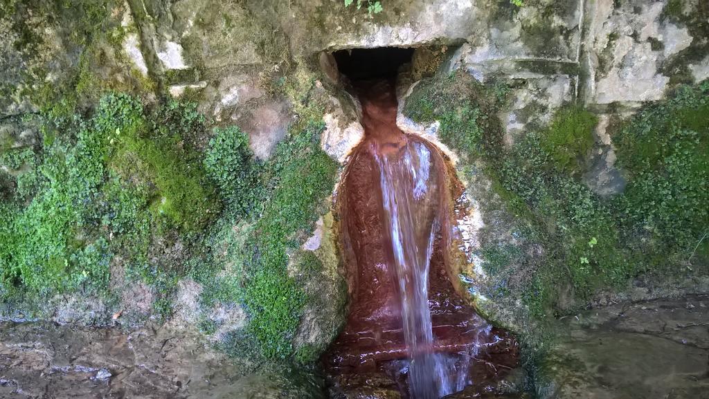 Privát Bene Vysné Ruzbachy Exterior foto